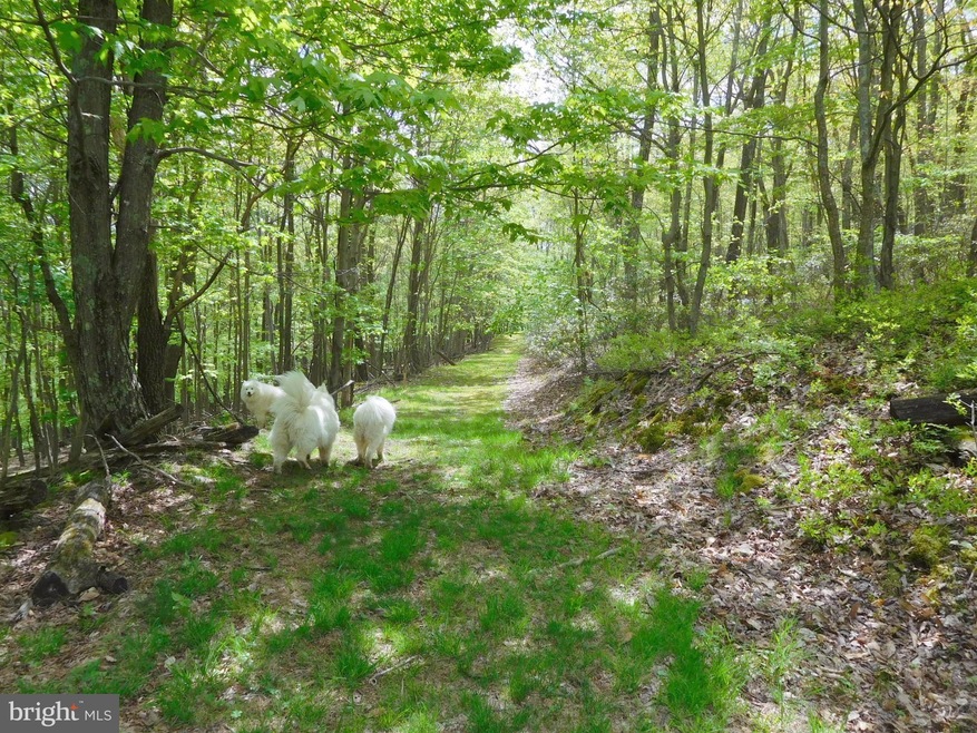 31 Pine Point Dr, Maysville, WV 26833 - photo 1