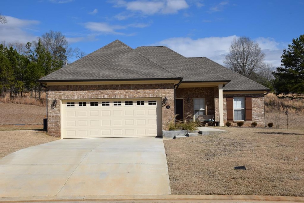 1041 Pebble Creek Dr, Oxford, MS 38655 - photo 1