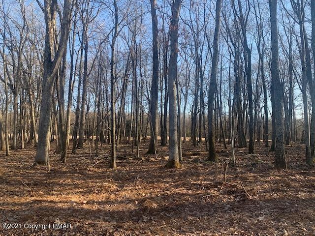 Lot A126 Broad Mountain View Dr, Jim Thorpe, PA 18229 - photo 1