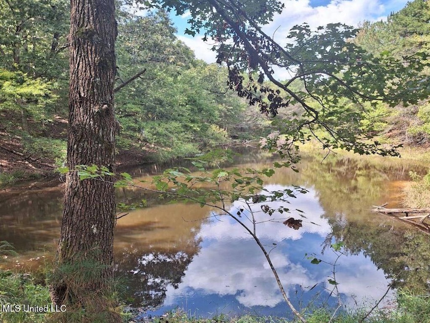 1788 County Rd, Water Valley, MS 38965 - photo 1