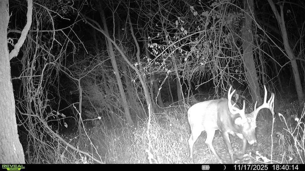 4379 Cr 2800, Coffeyville, KS 67337 - photo 1