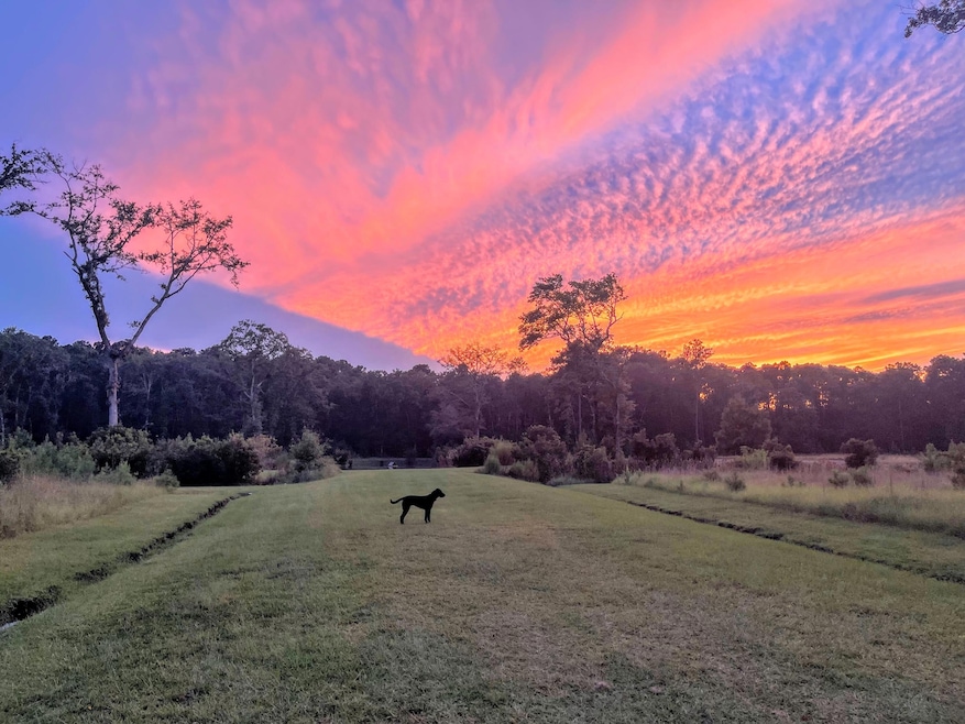 Sunset View