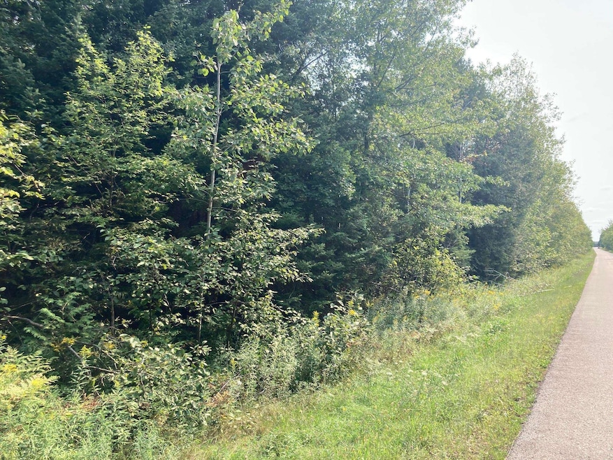 N6782 Right of Way Rd, Beaver, WI 54114 - photo 1