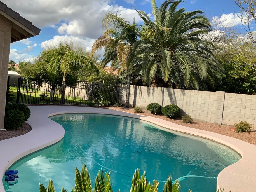 Your Own Backyard Oasis