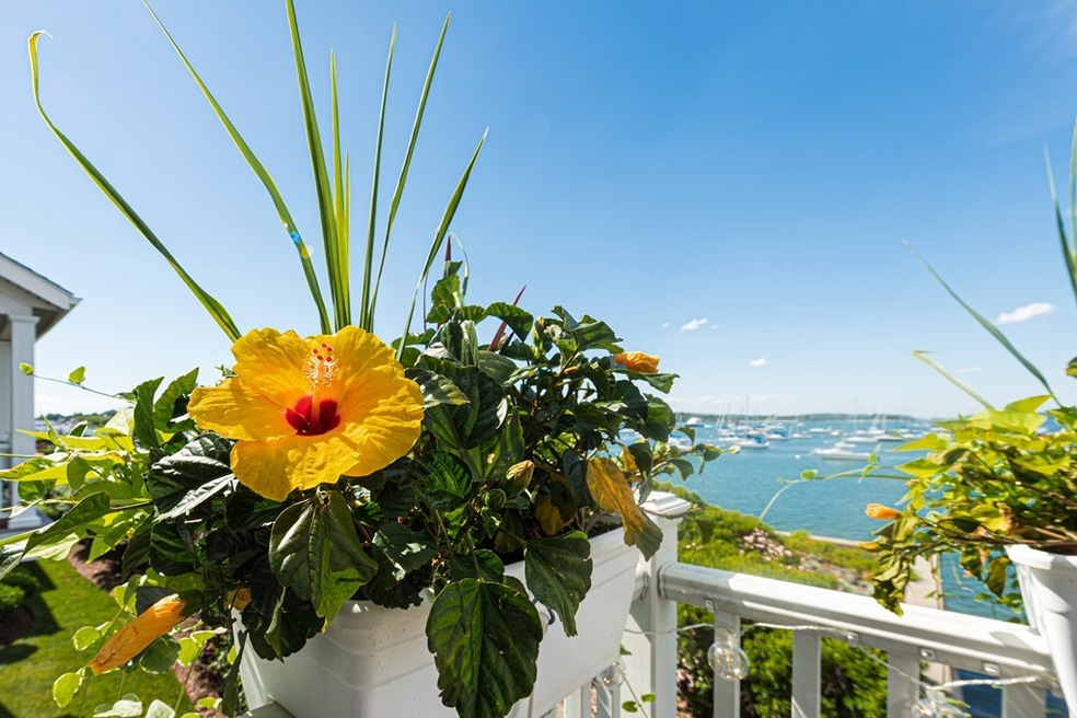 157 Hms Halsted Dr unit 157, Hingham, MA 02043 - photo 1