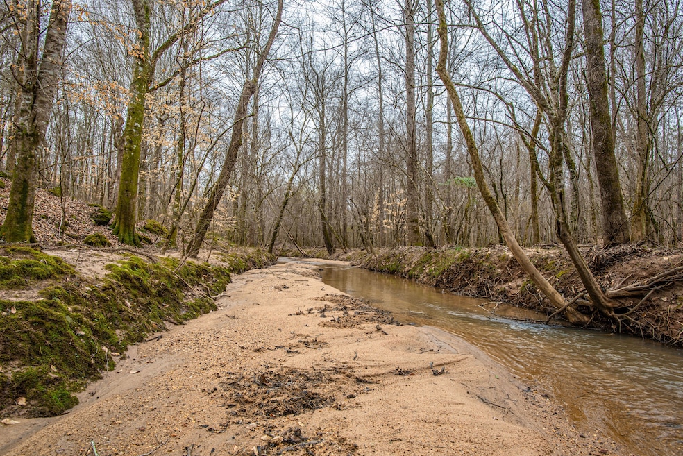 0 Fincher Ln unit 25584876, Covington, GA 30016 - photo 1