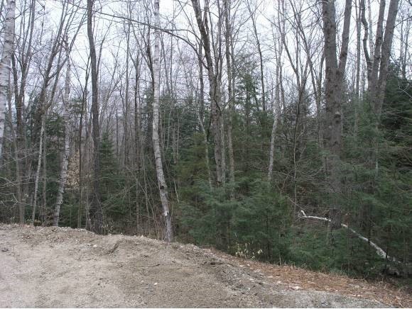 000 Red Fox Rd, Woodstock, NH 03262 - photo 1