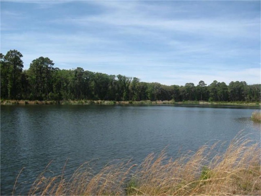 226 Pikes Bluff Dr, Saint Simons Island, GA 31522 - photo 1