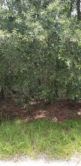 0 Celia Rd unit 295860, Tallahassee, FL 32305 - photo 1