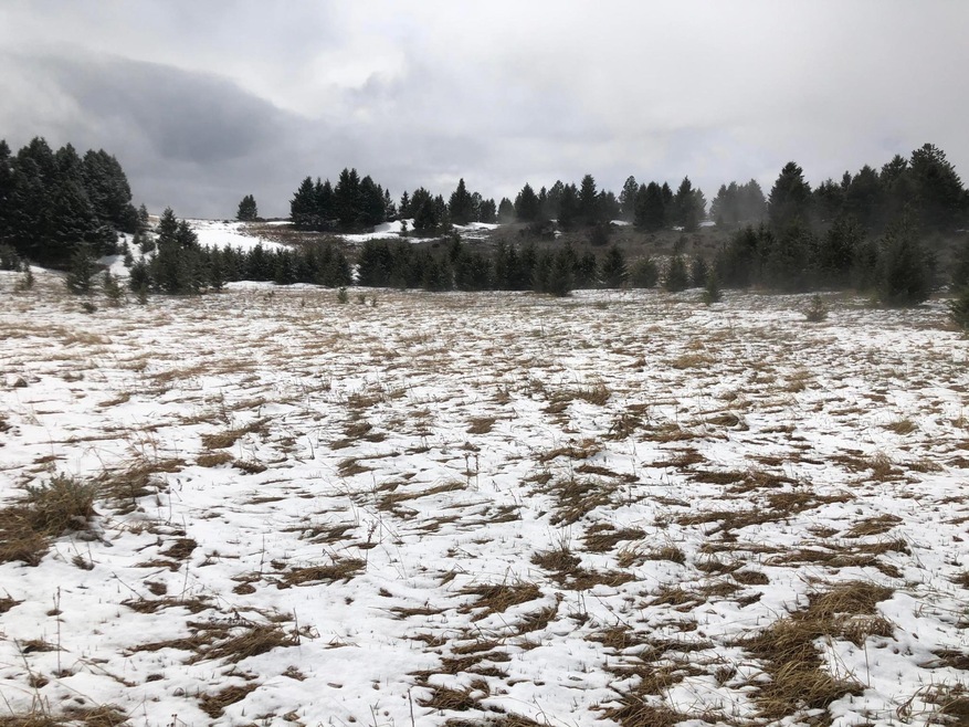 Sold • Co-Listing Agent