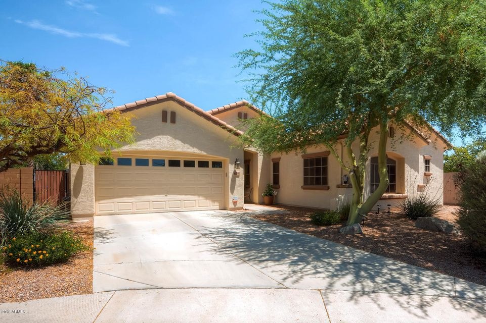 4266 E County Down Chandler AZ-large-002