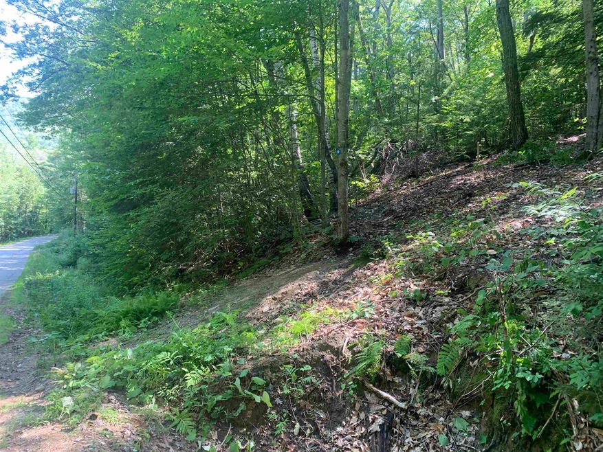The outline of the proposed driveway will overlap 