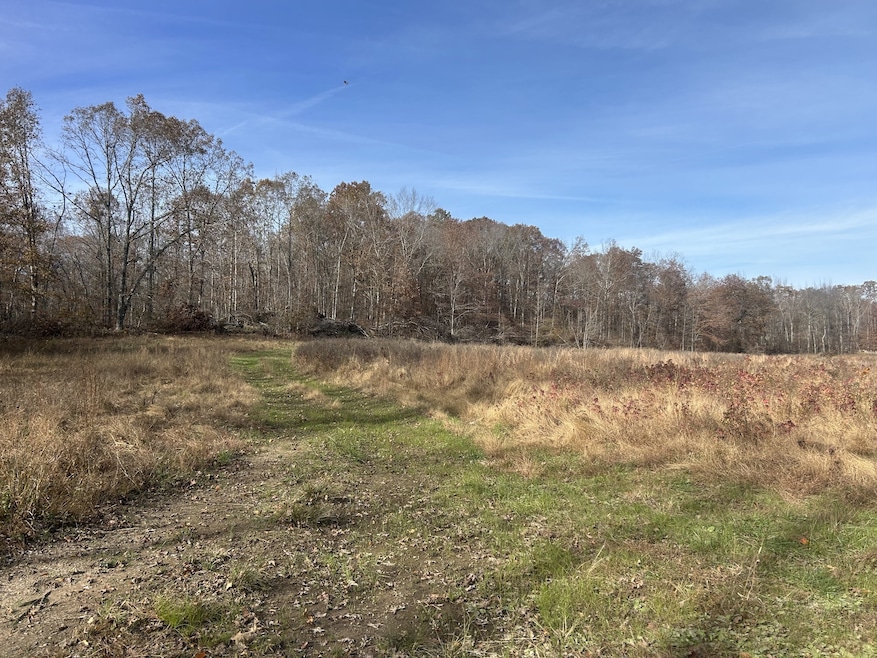 0 Sulphur Creek Rd unit RTC3044976, Big Sandy, TN 38221 - photo 1