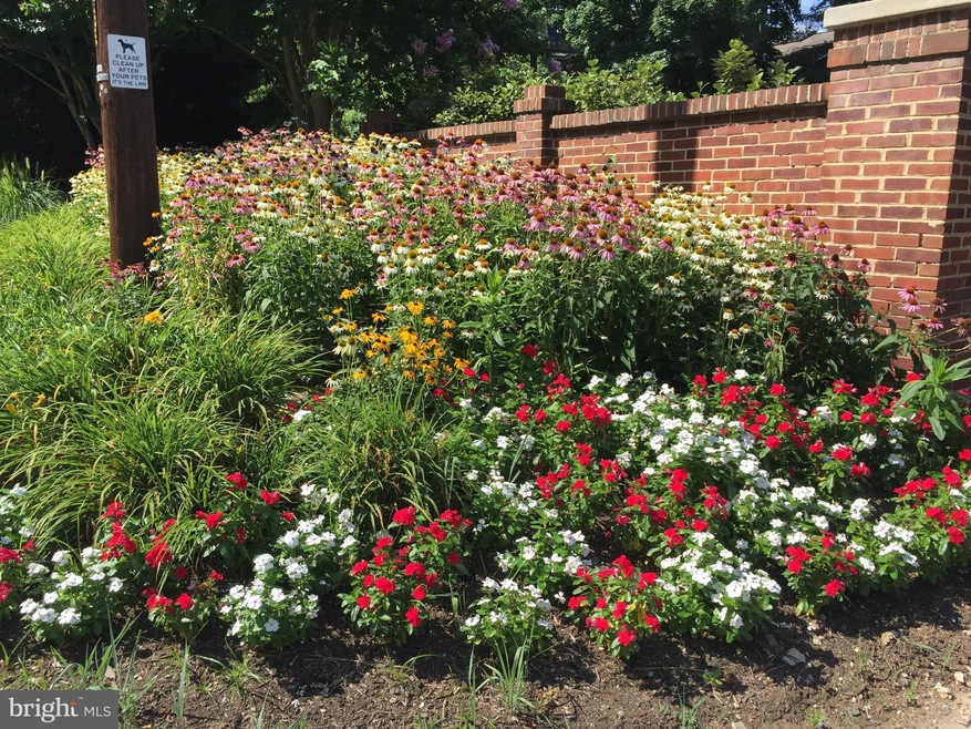 7519 Bradley Blvd, Bethesda, MD 20817 - photo 1