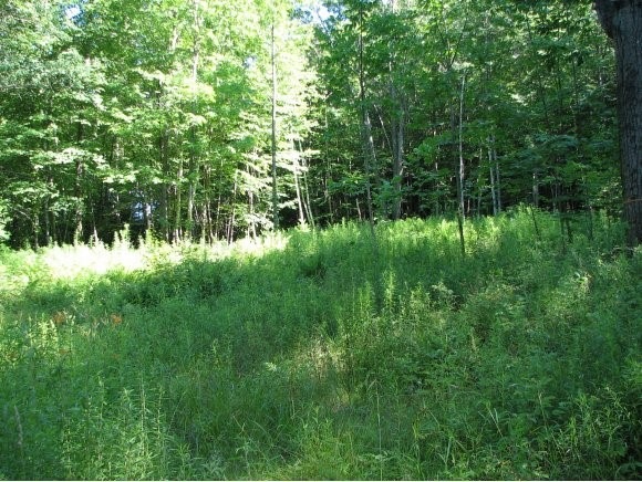 57-1 Old Chesterfield Rd, Chesterfield, NH 03443 - photo 1