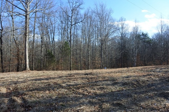 130 Johnny Bilbrey Ln, Cookeville, TN 38506 - photo 1