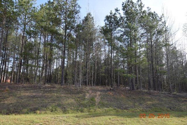 2240 Willis Foreman Rd, Hephzibah, GA 30815 - photo 1