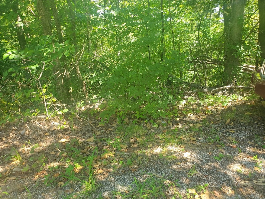 0 Netherton Ln, Bella Vista, AR 72715 - photo 1