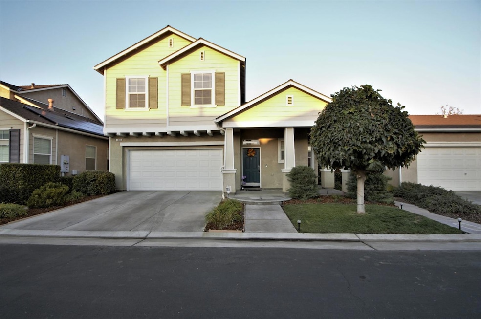 Front View - Houses faces West