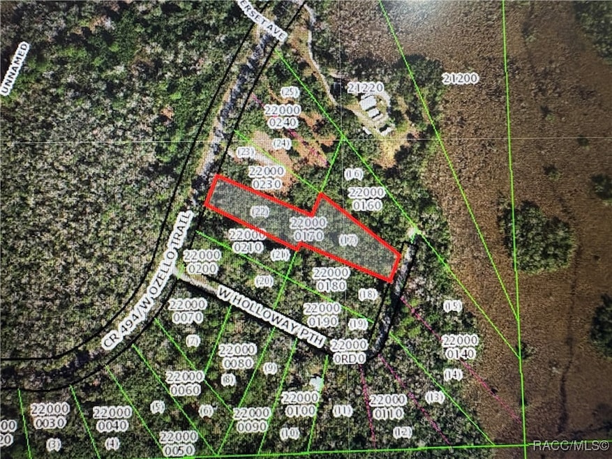 10043 W Holloway Path, Crystal River, FL 34429 - photo 1