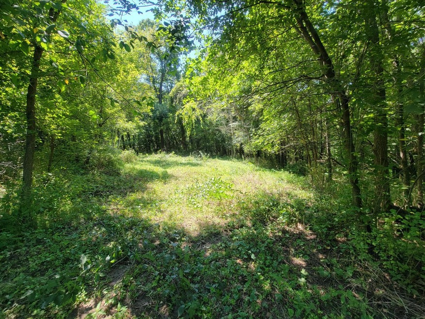 0 Brenegan Ln, Gale, WI 54630 - photo 1