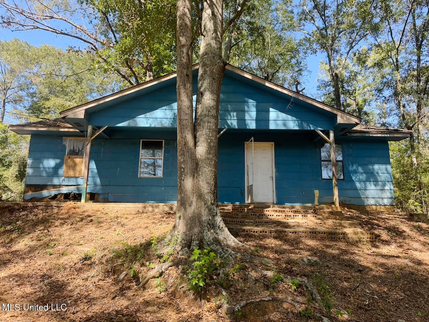 120 Doris McCallum Rd, Magee, MS 39111 - photo 1