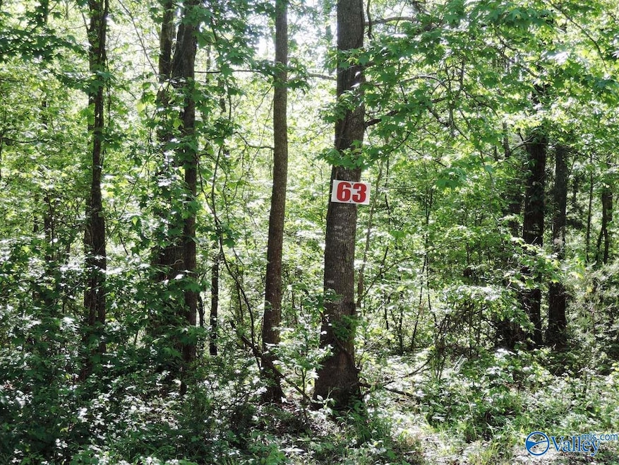 63 Timberline Cir, Jasper, AL 35504 - photo 1