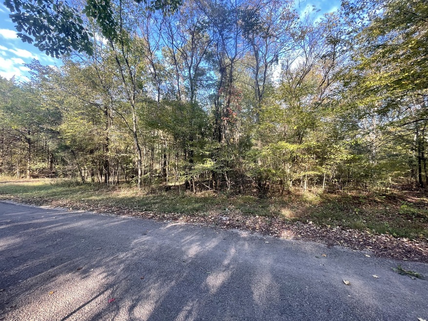 0 Ownby Rd, Lewisburg, TN 37091 - photo 1