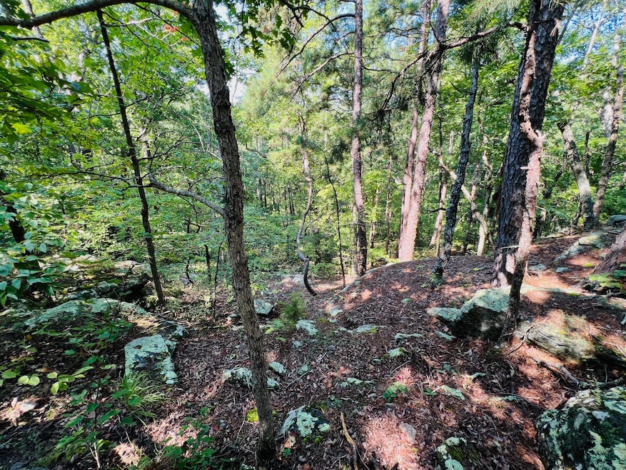 000 Boiling Springs Rd, Licking, MO 65542 - photo 1