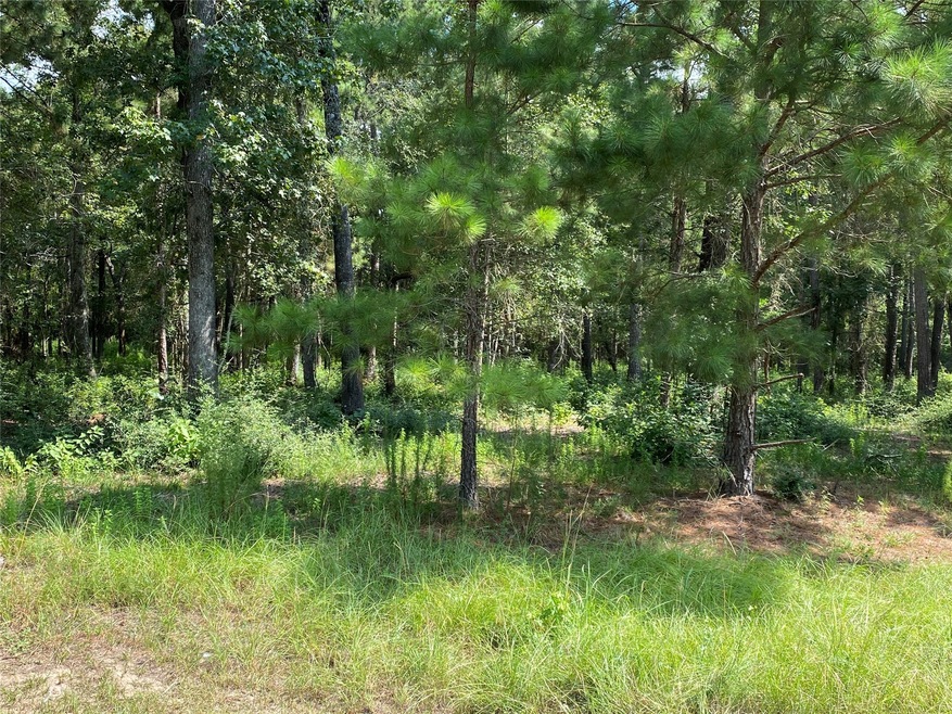 24340 Oak Hollow Blvd, Hockley, TX 77447 - photo 1