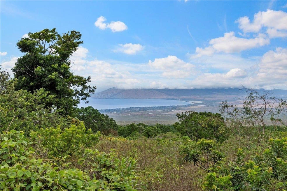 0 Kula Hwy unit 404406, Kula, HI 96790 - photo 1