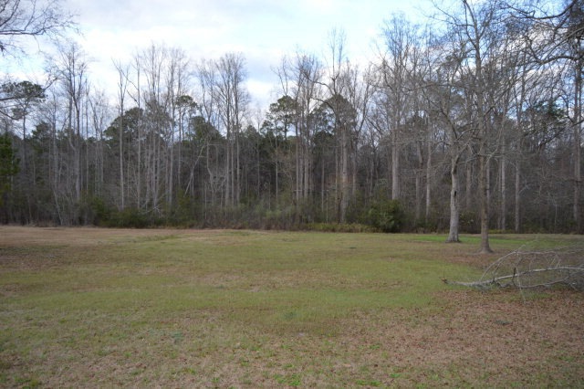 105 Bent Tree Dr, Sylvester, GA 31791 - photo 1