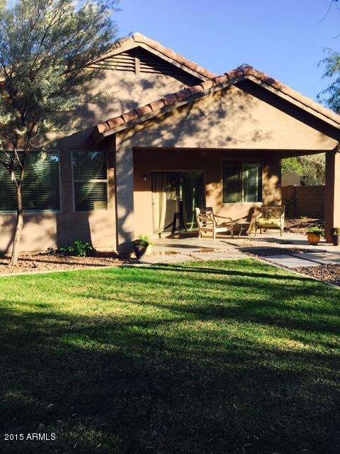 backyard 1