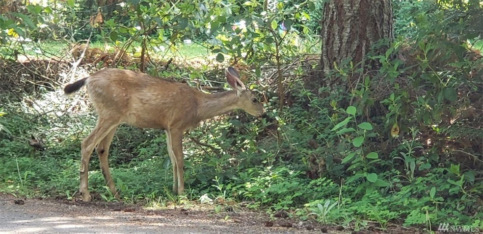18100 Sundown Ct SE, Yelm, WA 98597 - photo 1