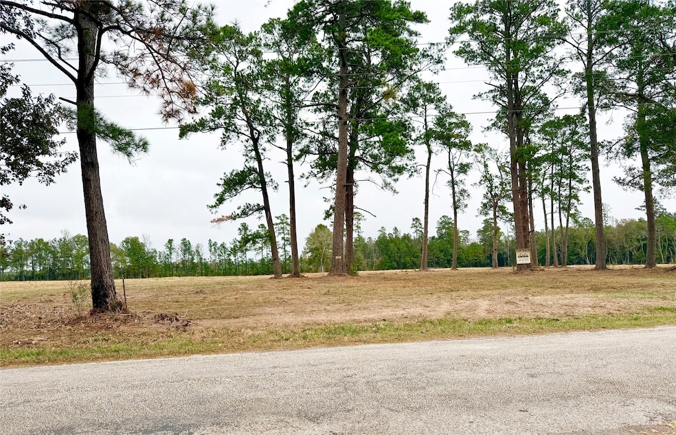 784 County Road 784, Buna, TX 77612 - photo 1