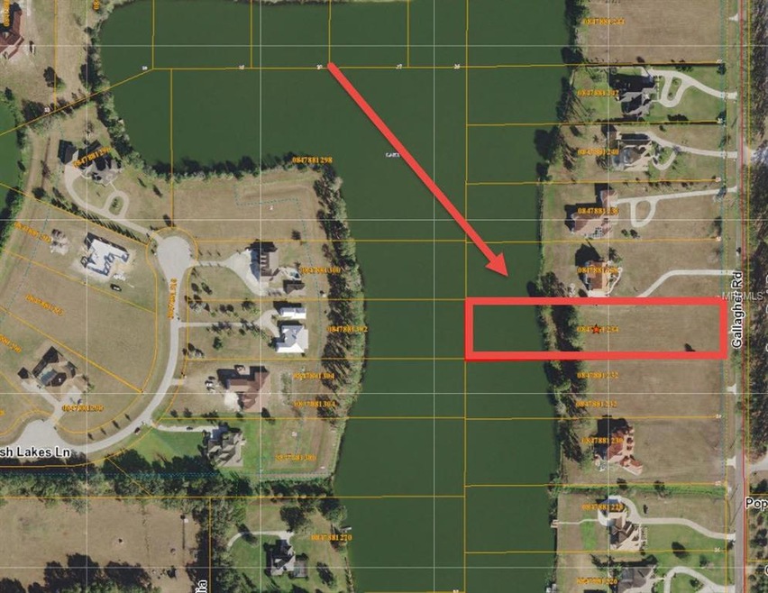 2716 Gallagher Rd, Dover, FL 33527 - photo 1