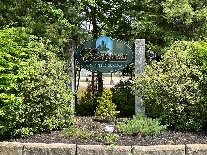 Evergreens on the Saco~Conway, NH