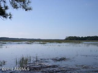 photo 4 (1)