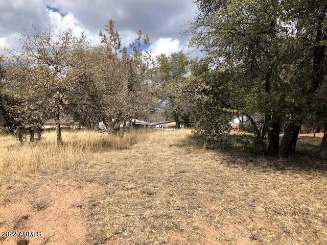 Lot view 2