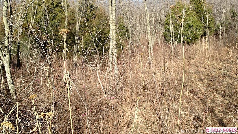 0 E Hwy 20 Hwy unit 1418709, Claremore, OK 74019 - photo 1