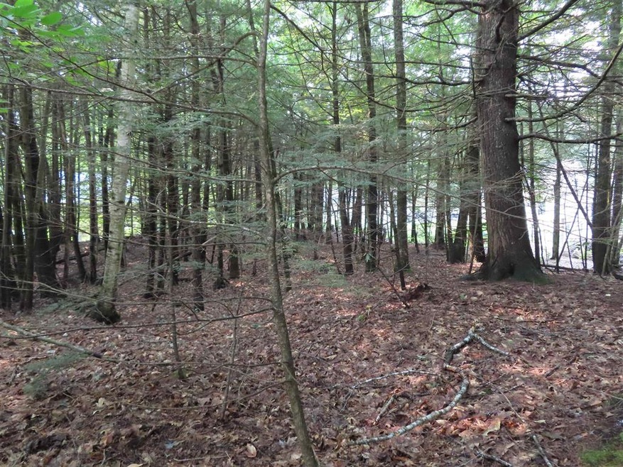 Lots 124-125 Andover Dr, Barnstead, NH 03225 - photo 1