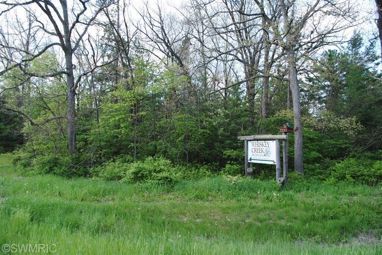 Primary Photo