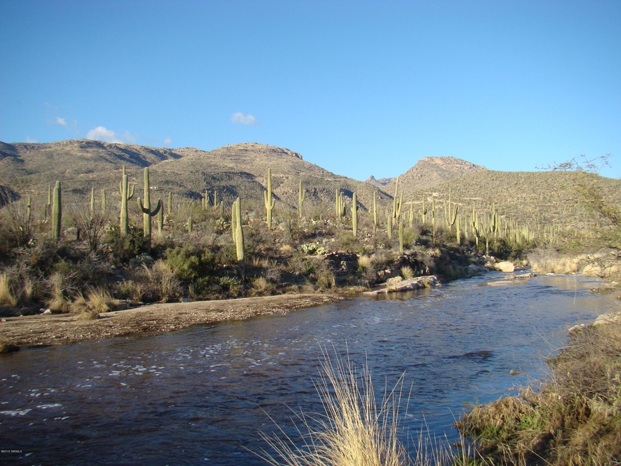 12530 Horsehead-river photo