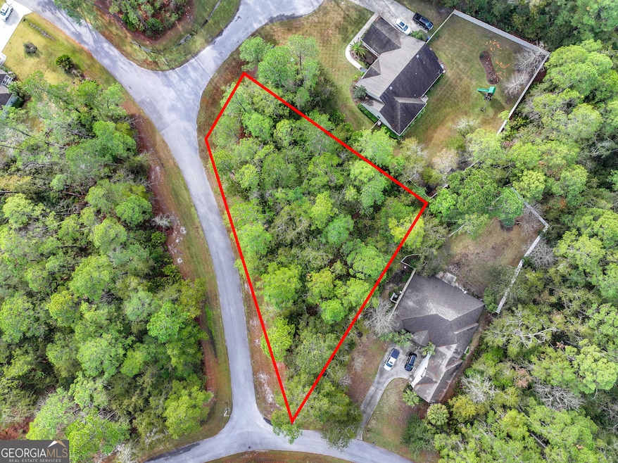 LOT 1 Turtle Dove Way, Waverly, GA 31565 - photo 1