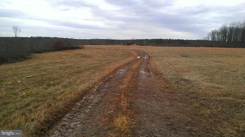 0 Hicks Ln unit 1002829752, Mine Run, VA 22508 - photo 1