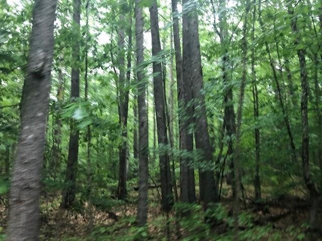 0 Stoneybrook Rd unit 1422549, Limerick, ME 04048 - photo 1