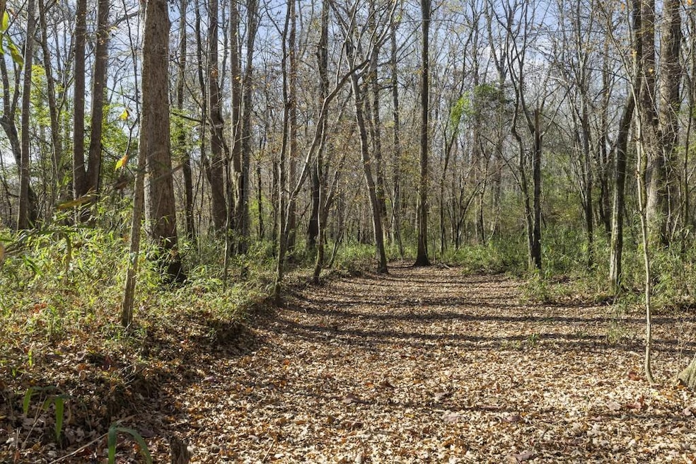 0E Hutchesons Ferry Rd, Chattahoochee Hills, GA 30268 - photo 1