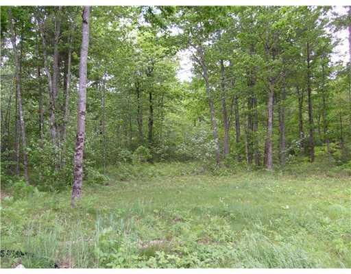 Land/Lot.