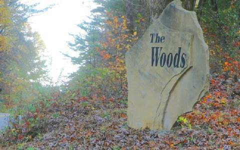 5 LTS The Woods Rd, Mineral Bluff, GA 30559 - photo 1