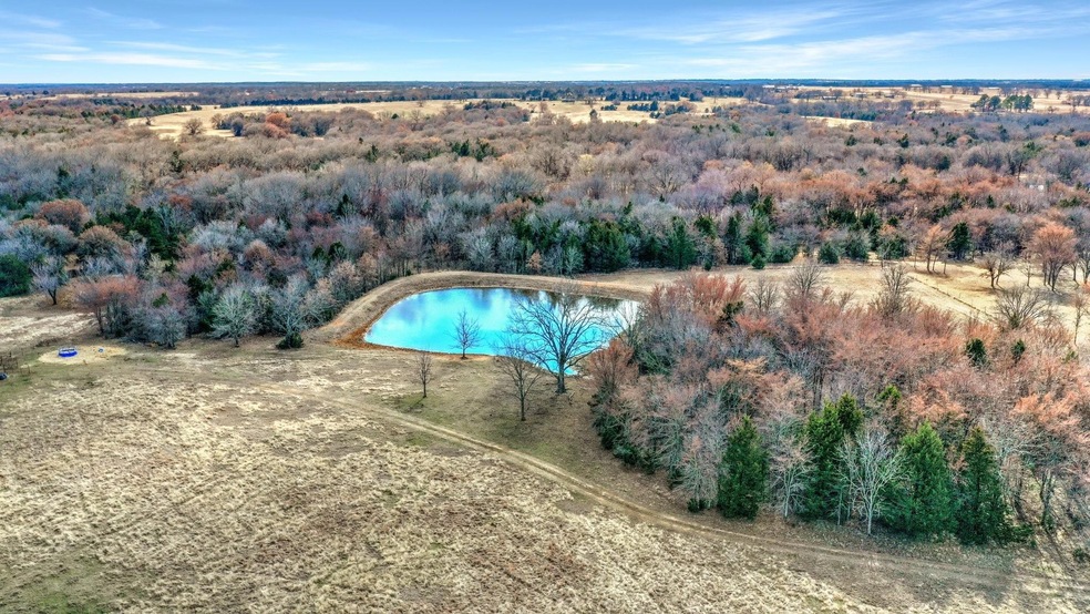 000 Copperas Rd, Sadler, TX 76264 - photo 1